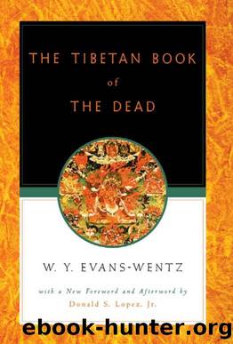 The Tibetan Book of the Dead: Or The After-Death Experiences on the Bardo Plane by W.Y. Evans Wentz