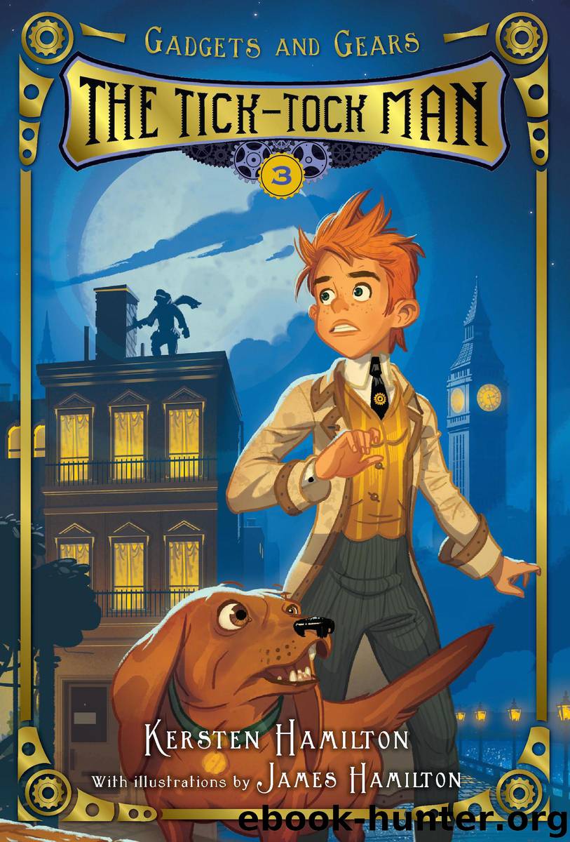 The Tick-Tock Man by Kersten Hamilton