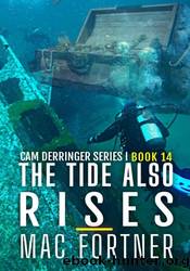 The Tide Also Rises by Mac Fortner