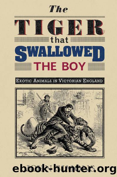 The Tiger That Swallowed the Boy by John Simons