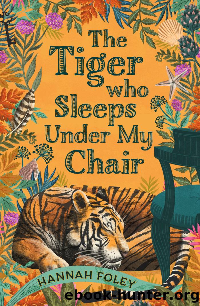 The Tiger Who Sleeps Under My Chair by Hannah Foley