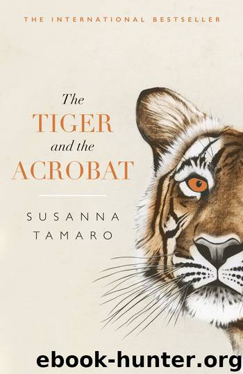 The Tiger and the Acrobat by Susanna Tamaro