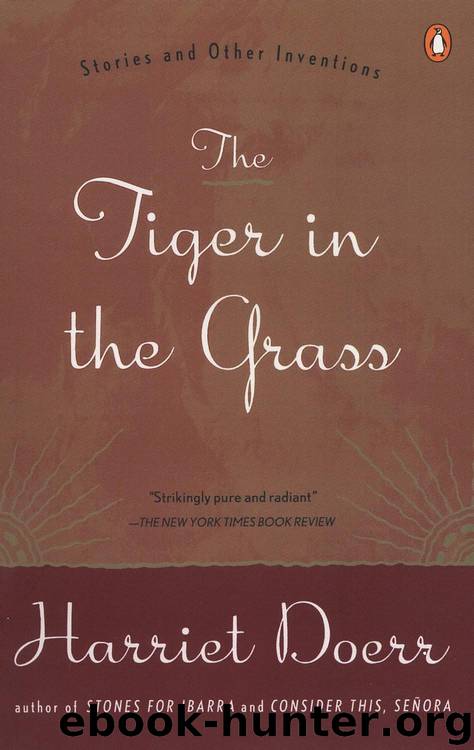 The Tiger in the Grass by Harriet Doerr