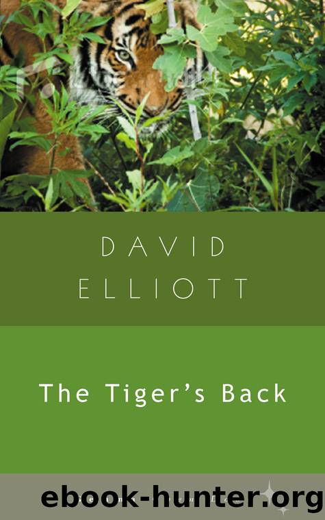 The Tiger's Back by David Elliot