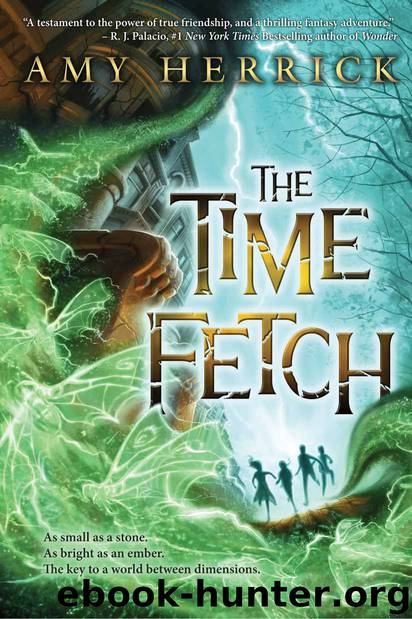 The Time Fetch by Herrick Amy