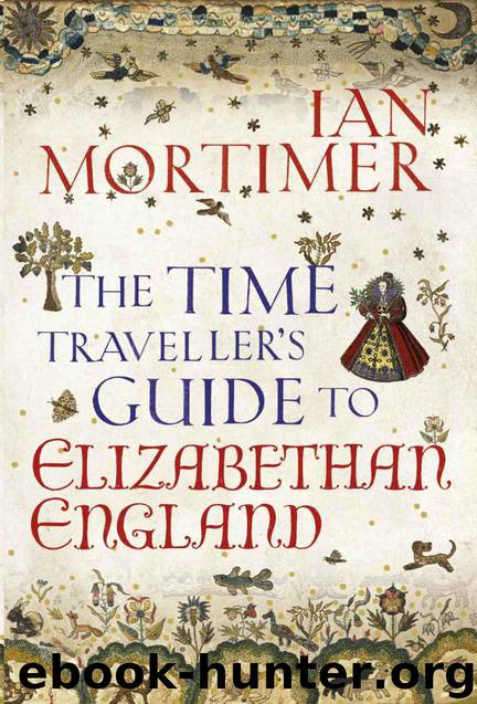 The Time Traveller's Guide to Elizabethan England by Mortimer Ian