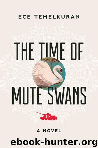 The Time of Mute Swans by Ece Temelkuran