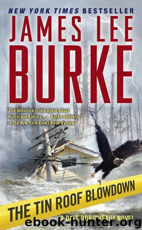 The Tin Roof Blowdown by James Lee Burke