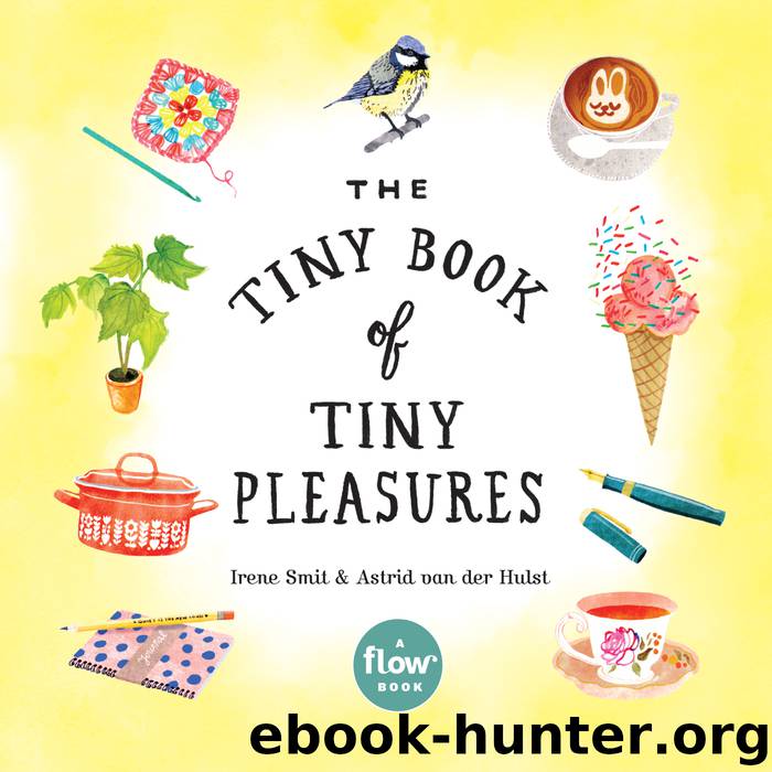 The Tiny Book of Tiny Pleasures by Irene Smit & Astrid van der Hulst & Deborah van der Schaaf