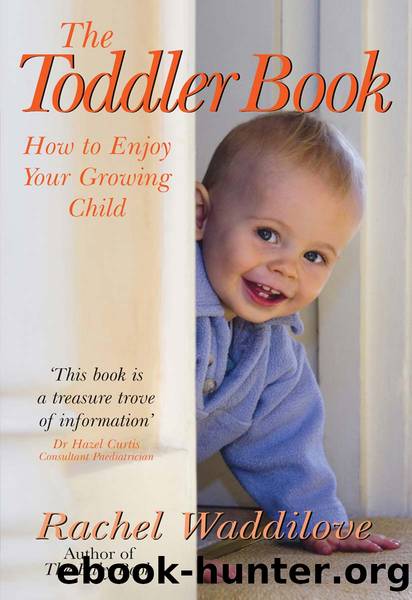 The Toddler Book by Rachel Waddilove