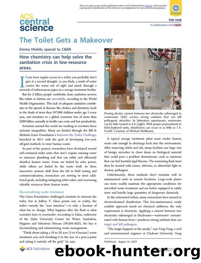 The Toilet Gets a Makeover by Emma Hiolski