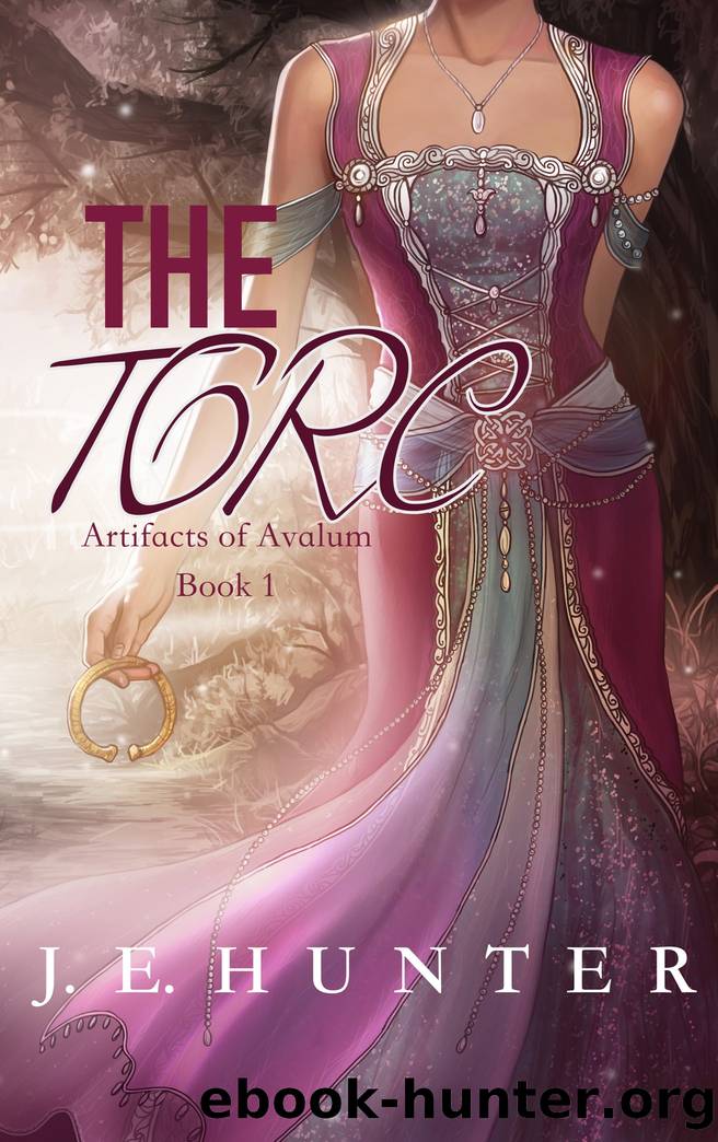 The Torc by J.E. Hunter