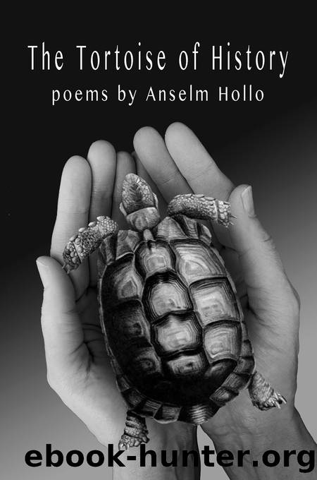 The Tortoise of History by Anselm Hollo