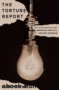 The Torture Report by Larry Siems