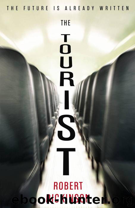 The Tourist by Robert Dickinson