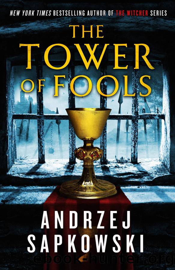 The Tower of Fools by Andrzej Sapkowski & David French