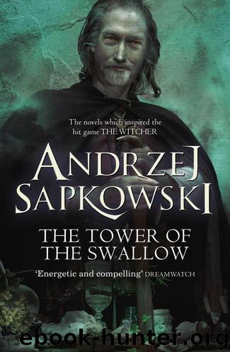 The Tower of the Swallow: Witcher 6 (The Witcher) by Sapkowski Andrzej
