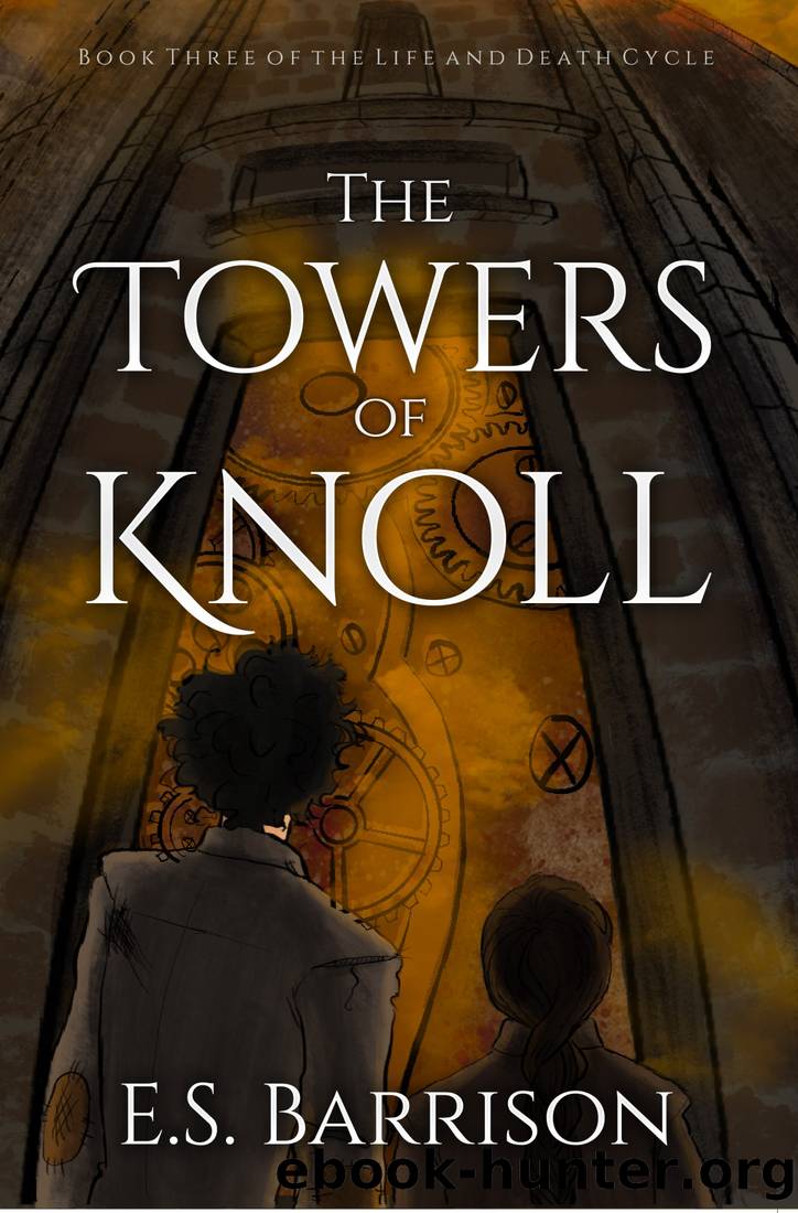 The Towers of Knoll by E.S. Barrison