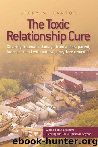 The Toxic Relationship Cure: Clearing traumatic damage from a boss, parent, lover or friend with natural, drug-free remedies by Jerry M. Kantor