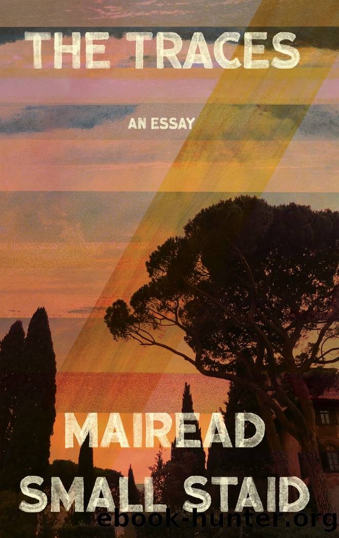 The Traces by Mairead Small Staid