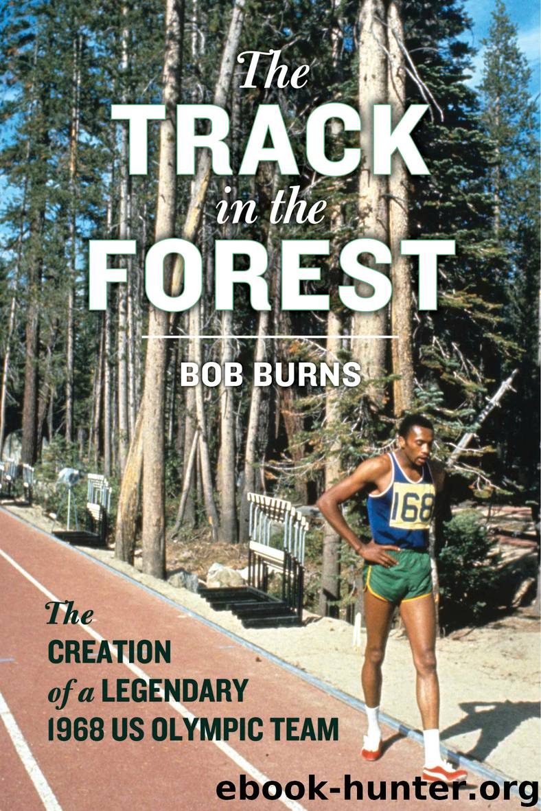 The Track in the Forest by Bob Burns