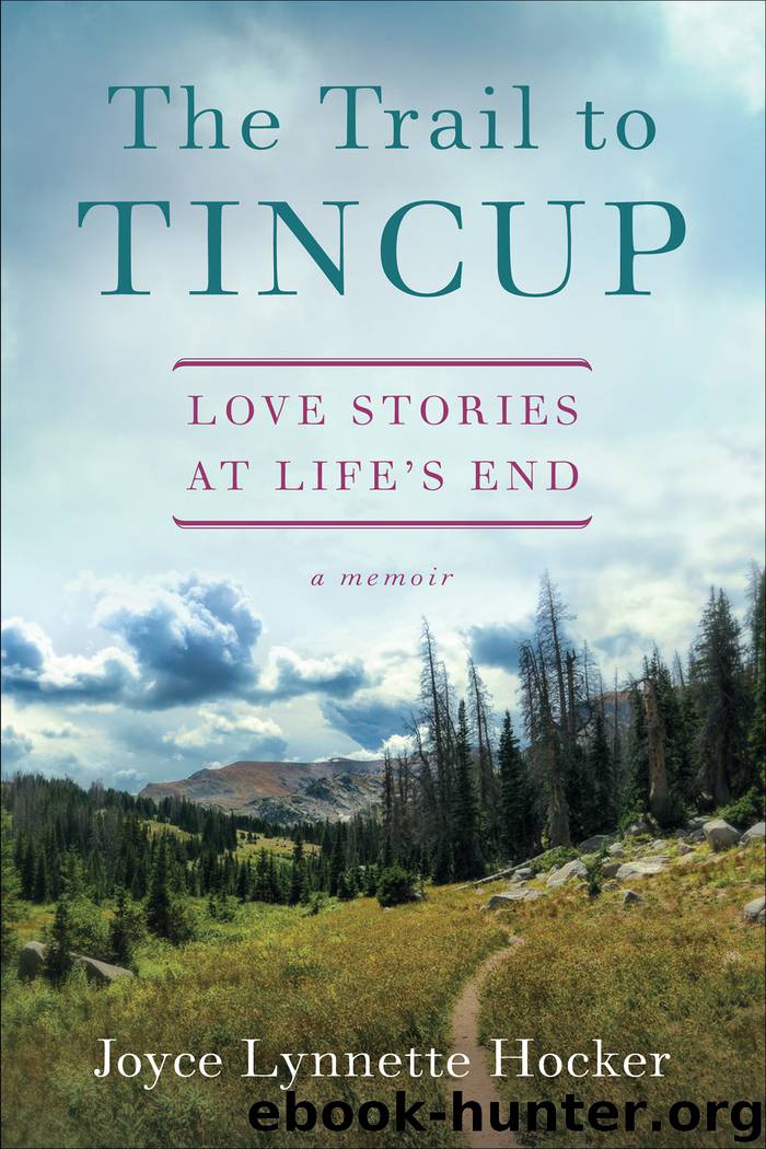 The Trail to Tincup by Joyce Lynette Hocker