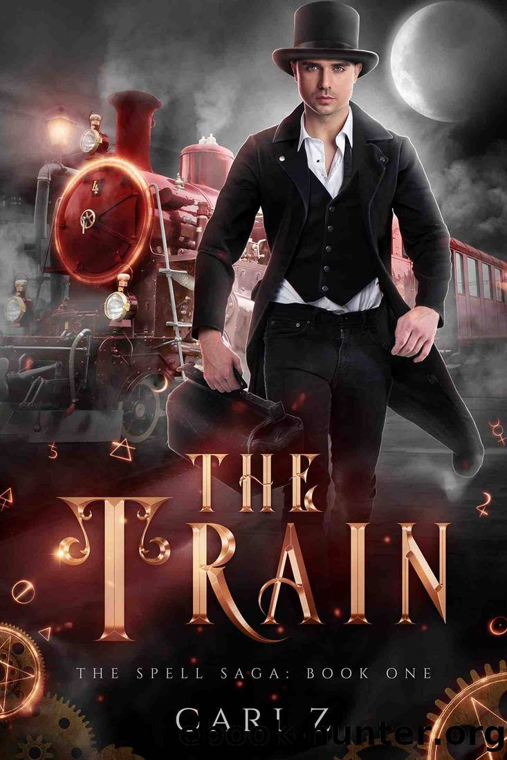 The Train by Cari Z