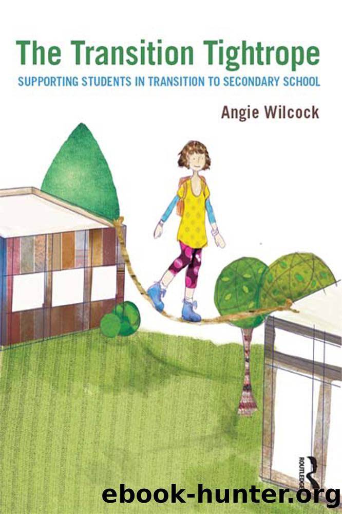 The Transition Tightrope by Wilcock Angie;