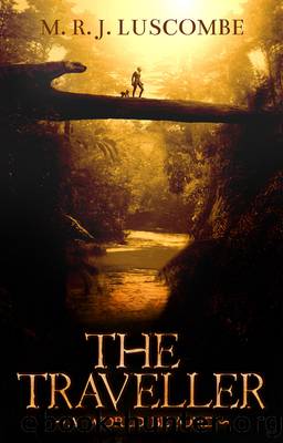 The Traveller by M.R.J. Luscombe