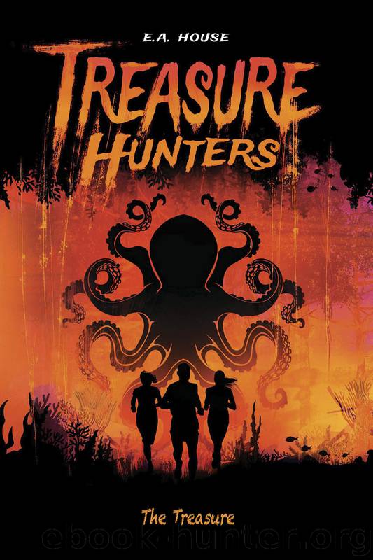 The Treasure by E.A. House