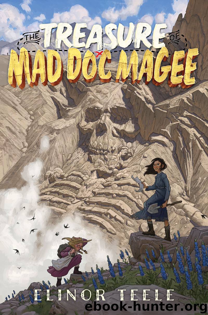 The Treasure of Mad Doc Magee by Elinor Teele