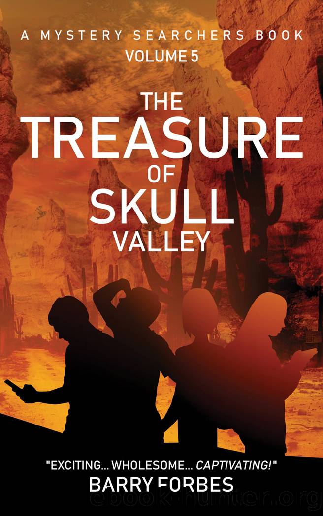 The Treasure of Skull Valley by Barry Forbes