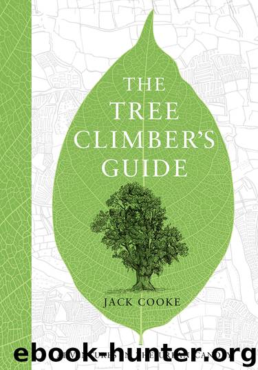 The Tree Climber's Guide by Jack Cooke