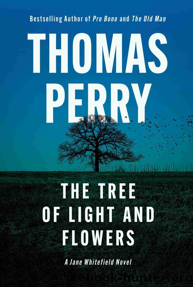 The Tree of Light and Flowers by Thomas Perry