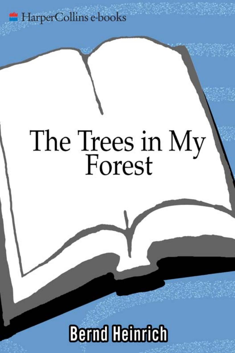 The Trees in My Forest by Bernd Heinrich