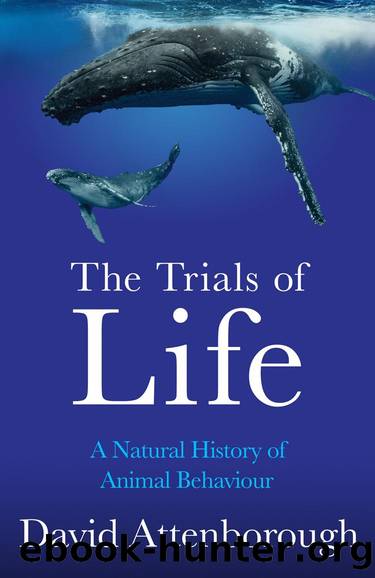 The Trials of Life by David Attenborough