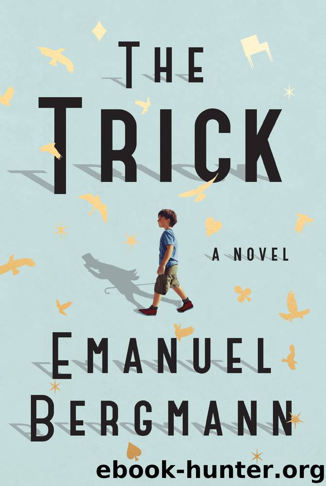 The Trick by Emanuel Bergmann