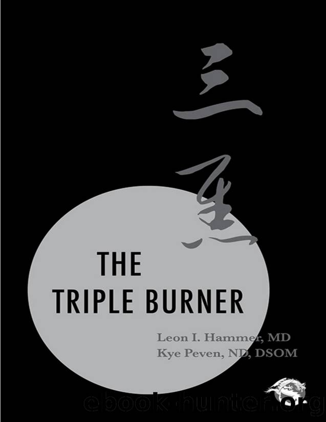 The Triple Burner by Leon I. Hammer & Kye Peven