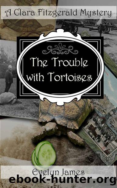 The Trouble With Tortoises by Evelyn James