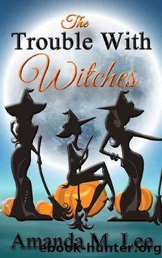 The Trouble With Witches (Wicked Witches of the Midwest Book 9) by Amanda M. Lee