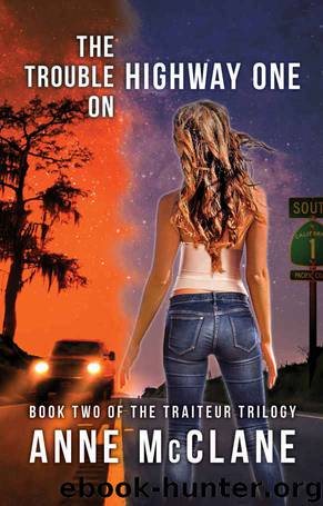 The Trouble on Highway One by Anne McClane