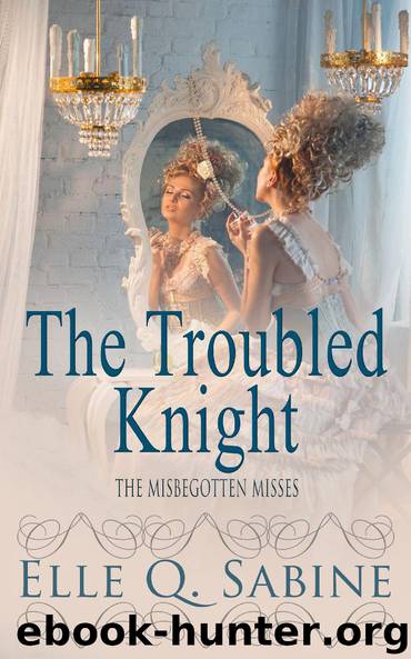 The Troubled Knight by Elle Q. Sabine