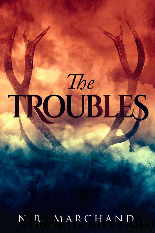 The Troubles by The Troubles (epub)