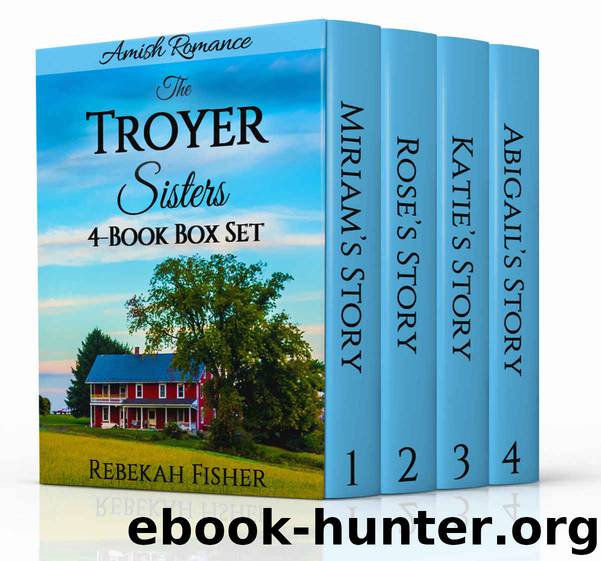 The Troyer Sisters Series - Amish Romance: 4-Book Box Set by Rebekah Fisher