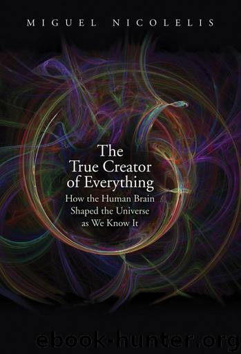 The True Creator of Everything by Nicolelis Miguel