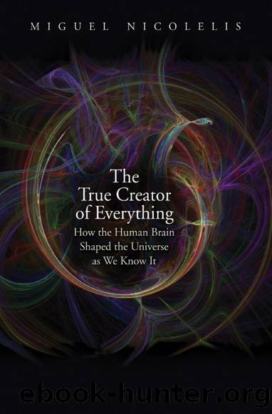 The True Creator of Everything: How the Human Brain Shaped the Universe as We Know It by Miguel Nicolelis