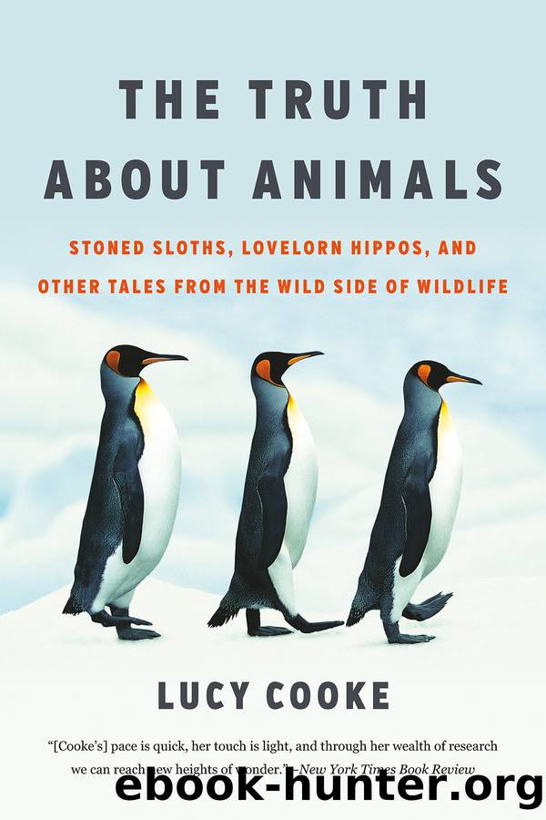 The Truth About Animals by Lucy Cooke