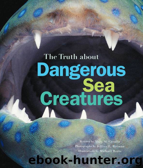The Truth About Dangerous Sea Creatures by Mary M. Cerullo Michael Wertz Jeffrey L. Rotman