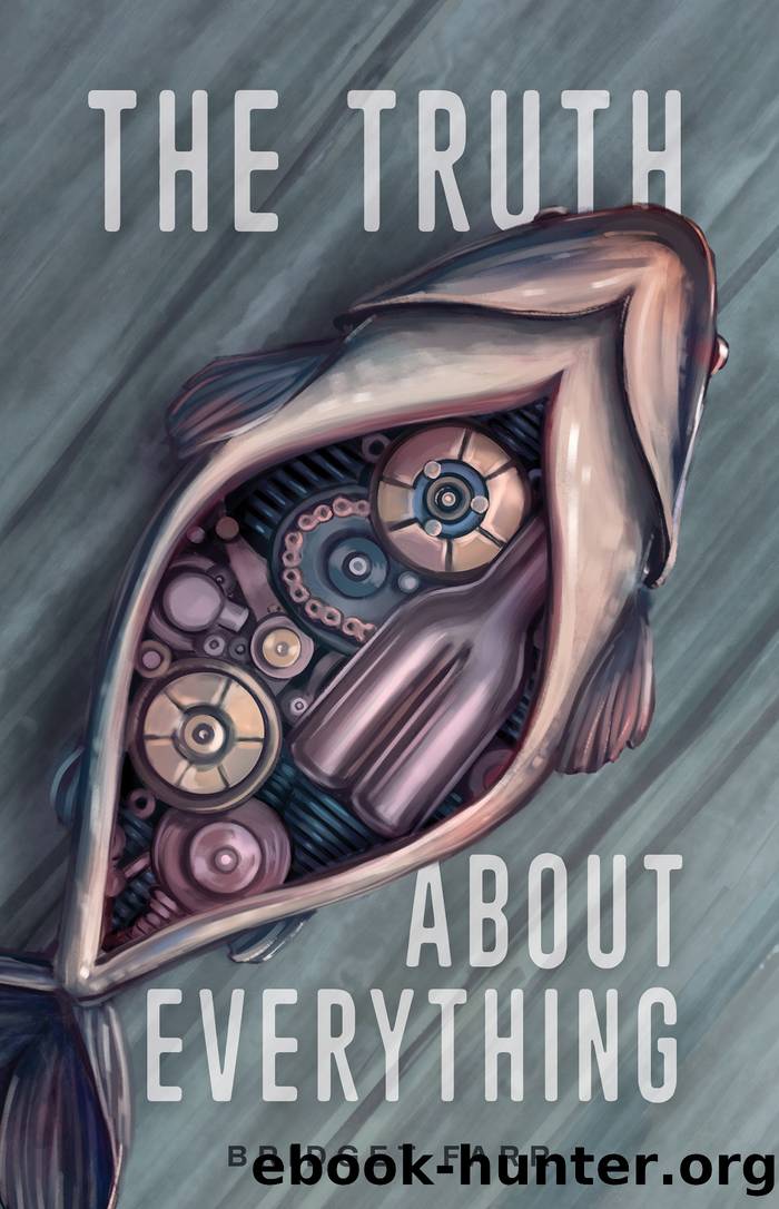 The Truth About Everything by Bridget Farr
