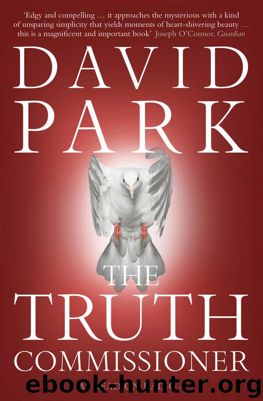 The Truth Commissioner by David Park